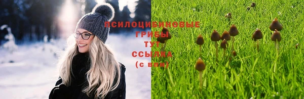 прущая мука Алзамай