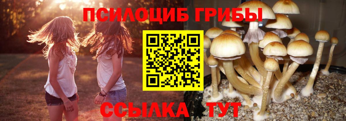 Псилоцибиновые грибы MAGIC MUSHROOMS  Вход с VPN  Евпатория  Галлюциногенные грибы Psilocybe 